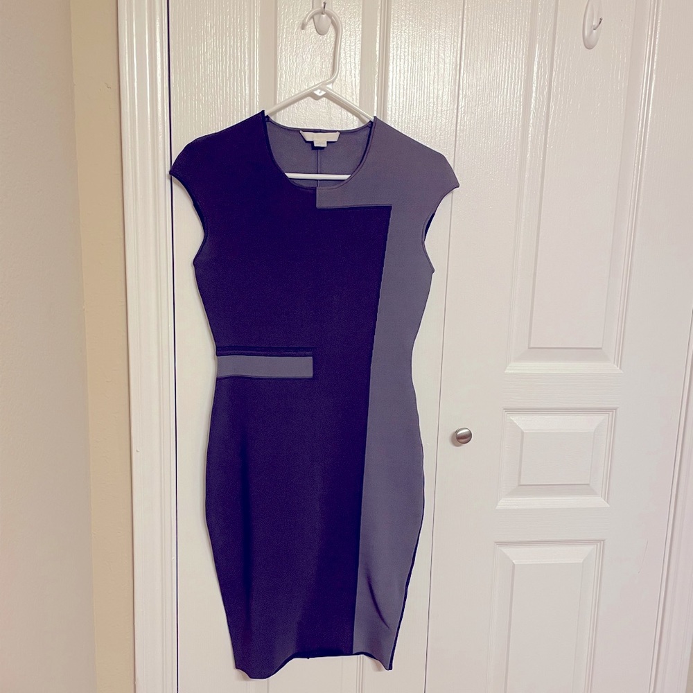 Alexander Wang Bodycon Dress